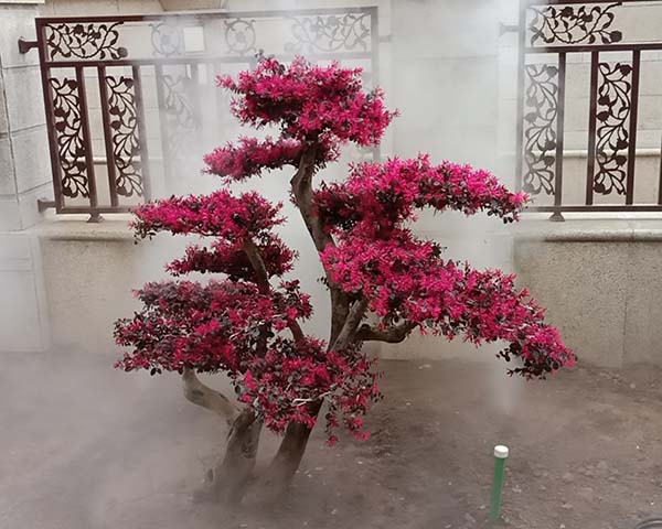霧森系統(tǒng)價(jià)格、三門峽霧森報(bào)價(jià)